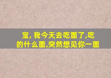 宝, 我今天去吃面了,吃的什么面,突然想见你一面